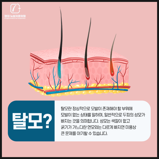 경대뉴보자르의원 이미지