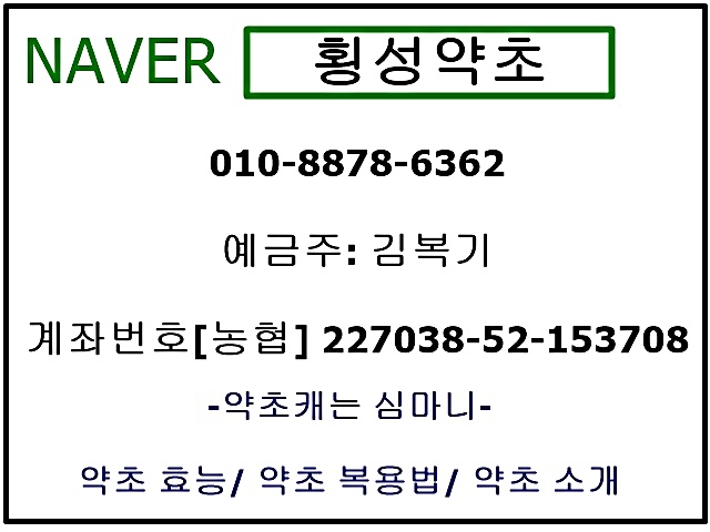 횡성참옻 이미지