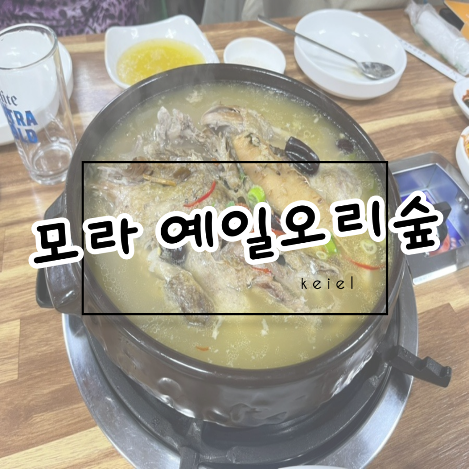 예일오리숲 이미지