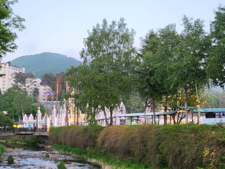 오대산 산채나라식당 이미지