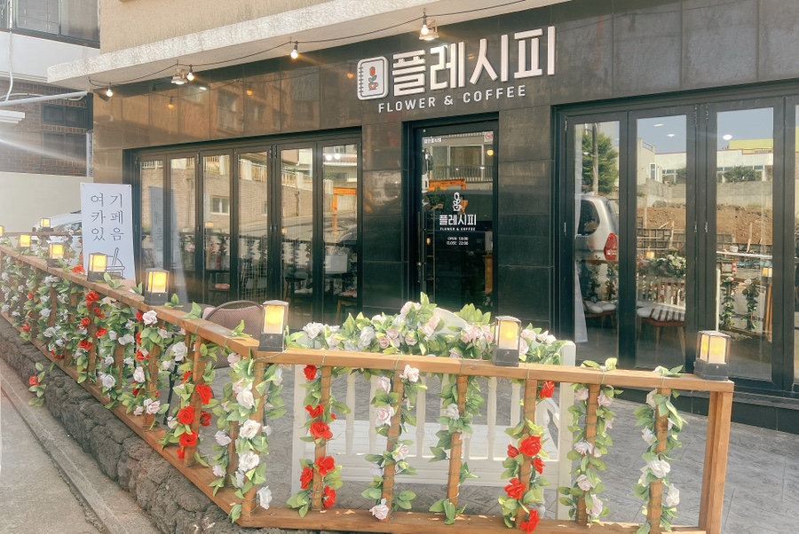 플레시피 이미지