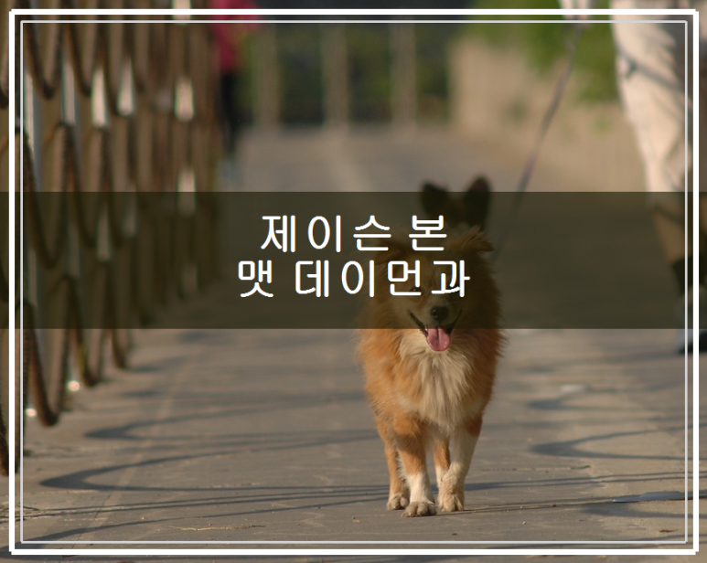엉클존스토리 이미지