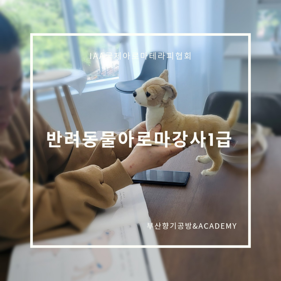 박선생테라피 이미지