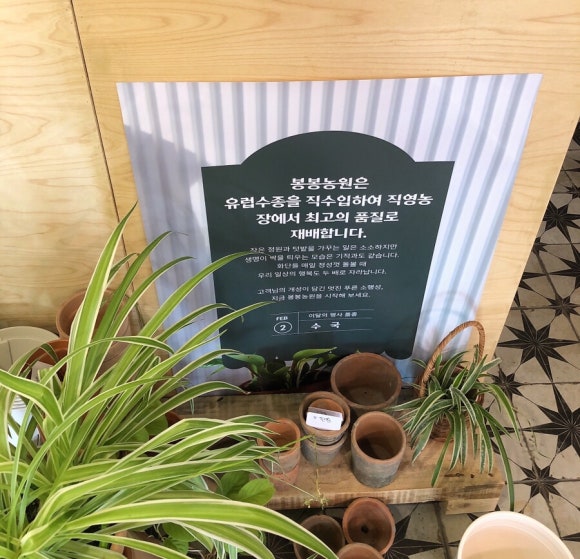 봉봉농원묘목카페 이미지