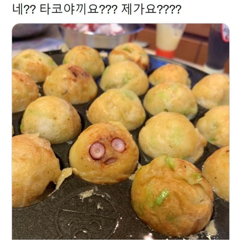타코야킹 이미지