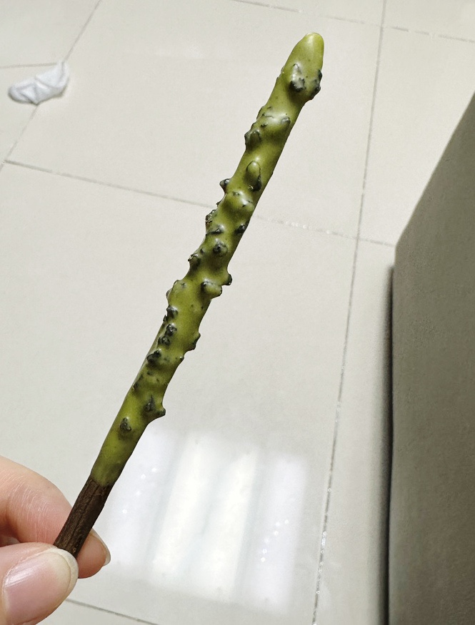 지에스(GS)25 부개일신점 이미지