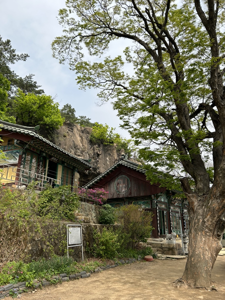 세무회계세흥 이미지