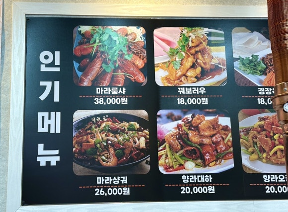 숙미고양 이미지