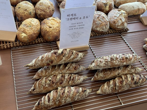 브라운매뉴얼 이미지