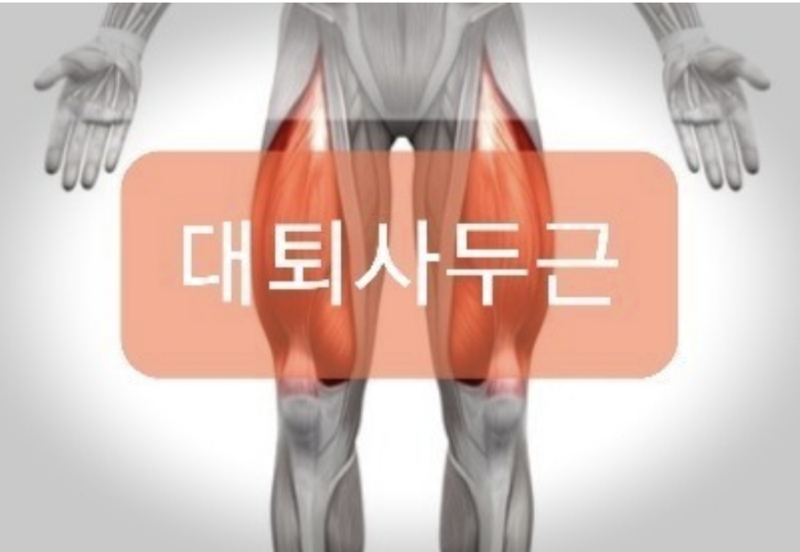 뉴텍 이미지