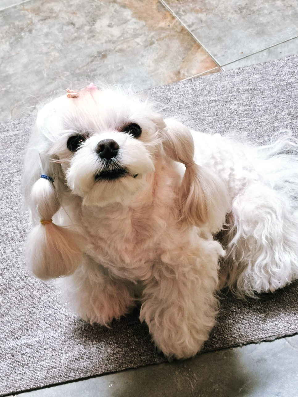 밥줘요 이미지