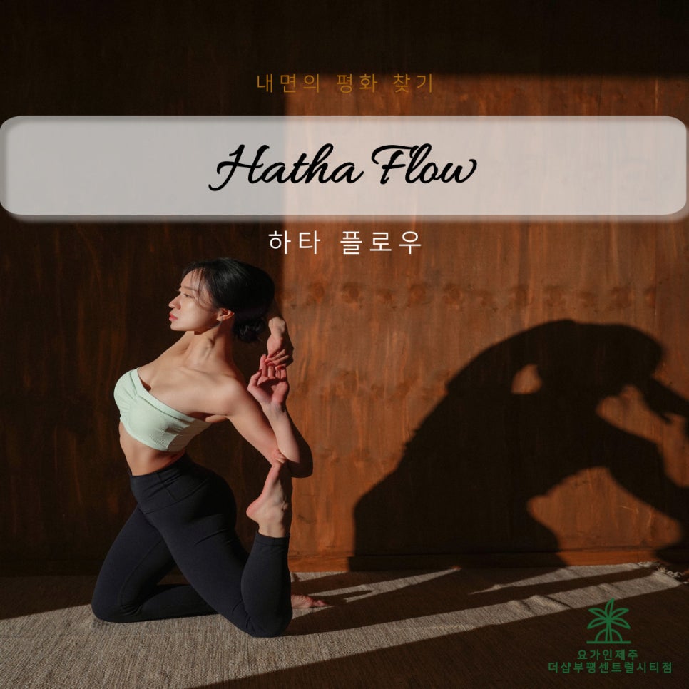 (주)제주플로우 이미지