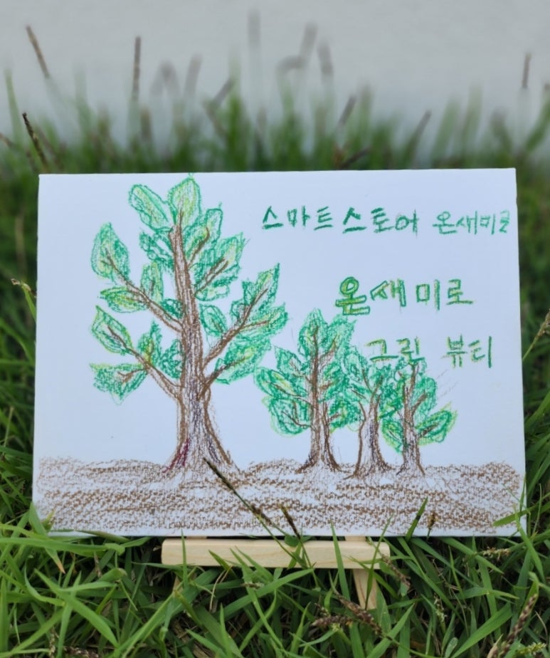 피누스스토어온새미로 이미지