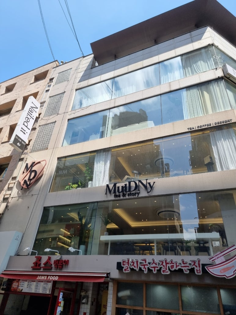 물드니 이미지