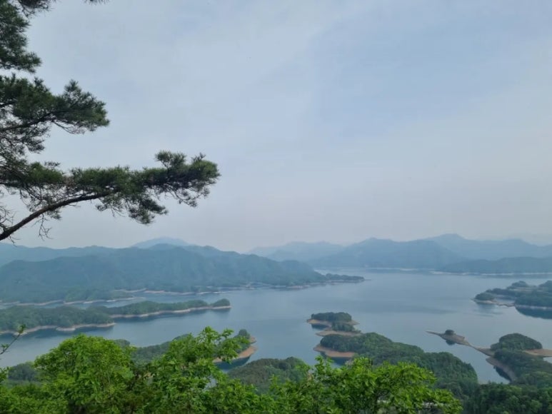 쌍용자동차충주정비센터 이미지
