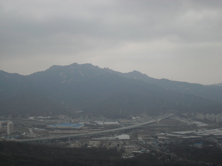 평화양봉원 이미지