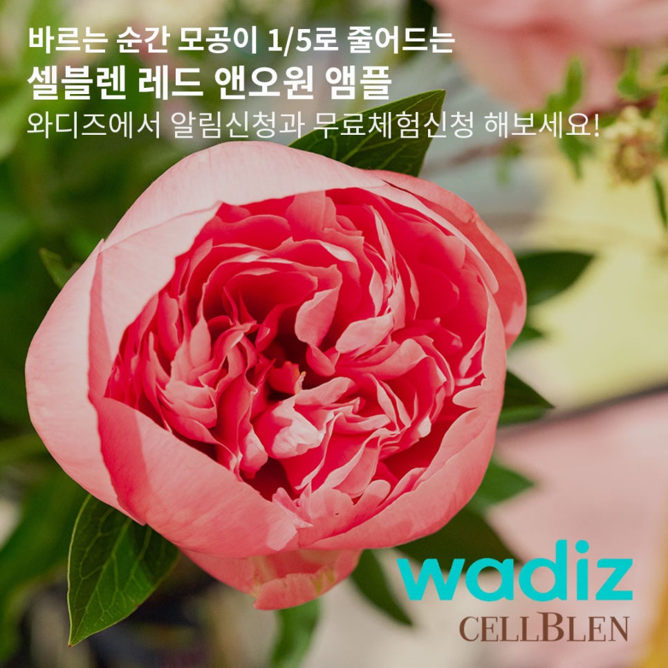 오원앤 이미지