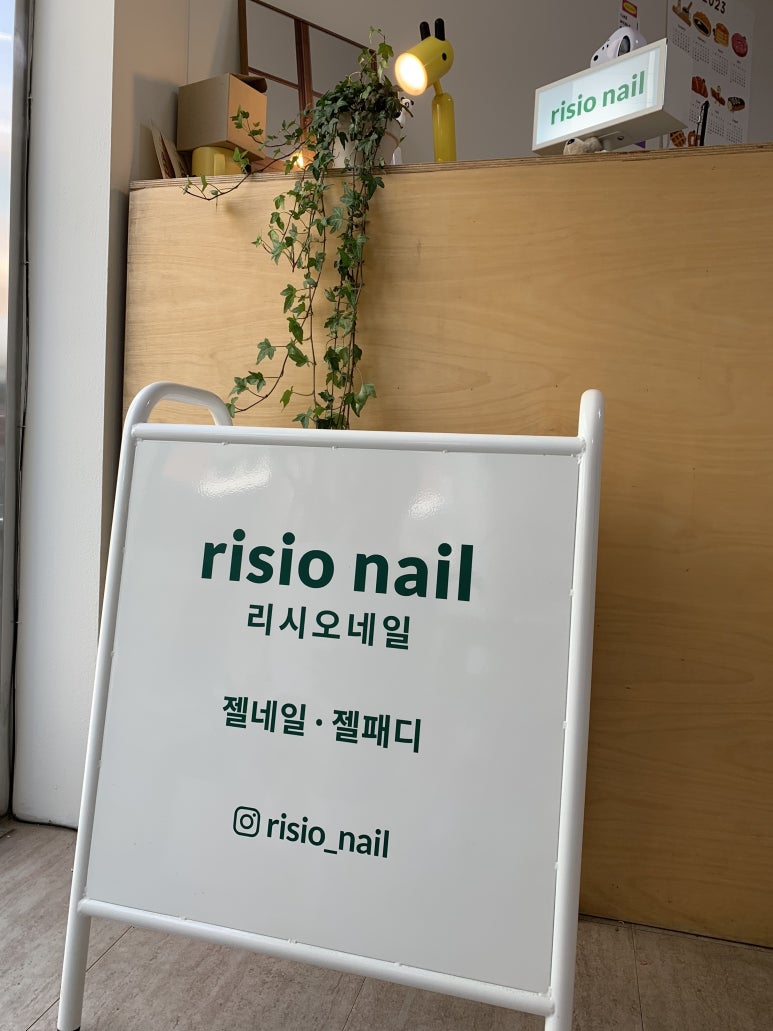 리시오네일 이미지