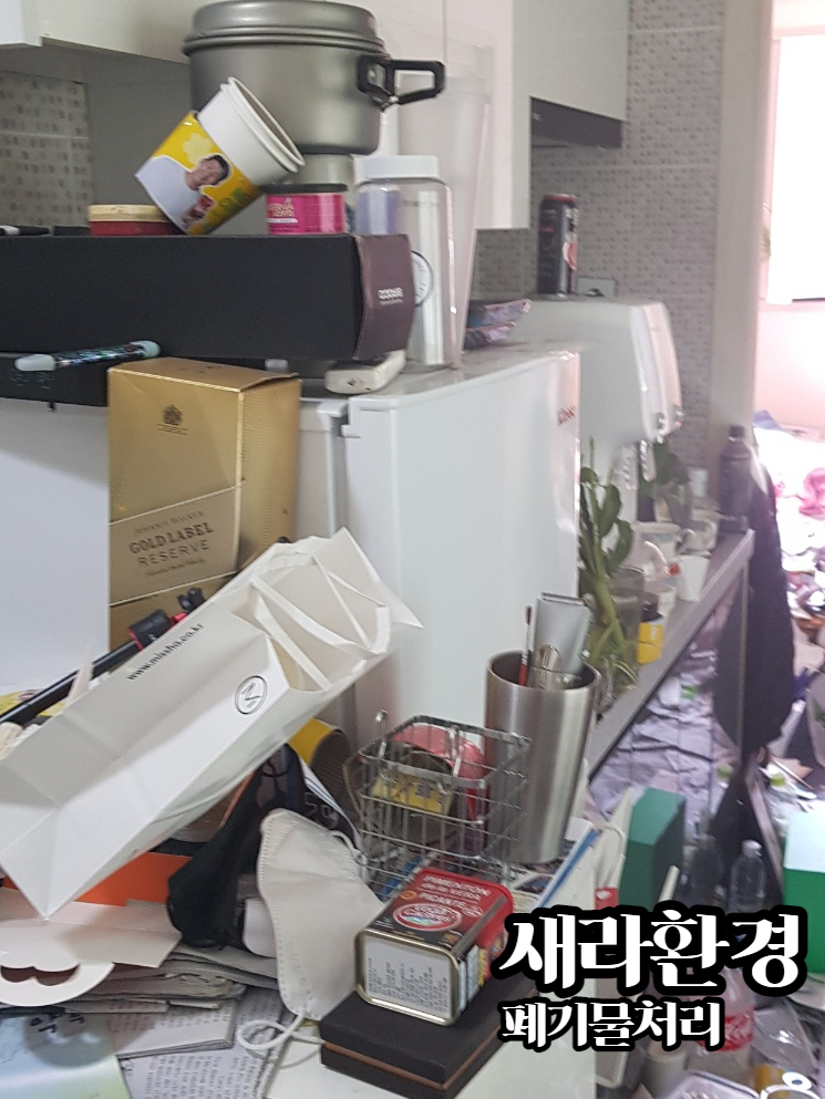 새라컨설팅 이미지
