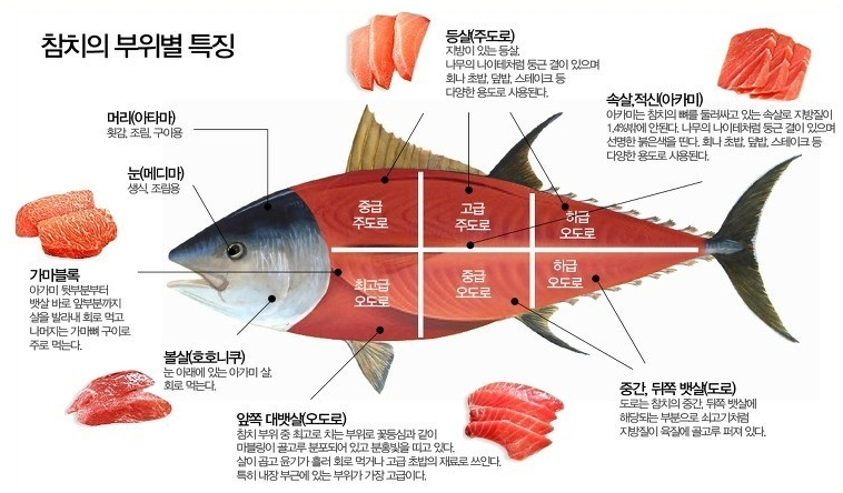 진오봉참치 이미지
