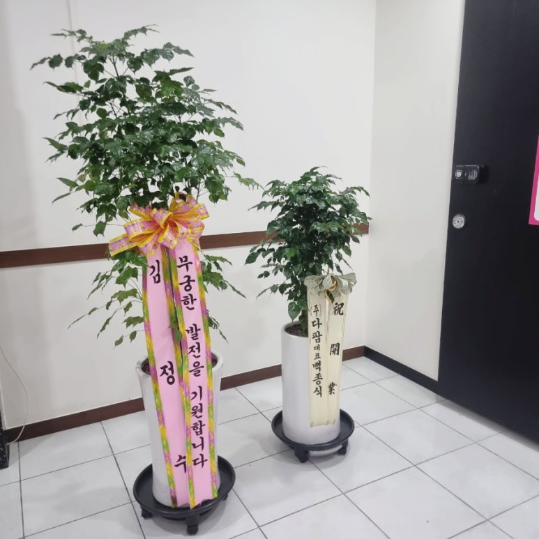 순수노래연습장 이미지
