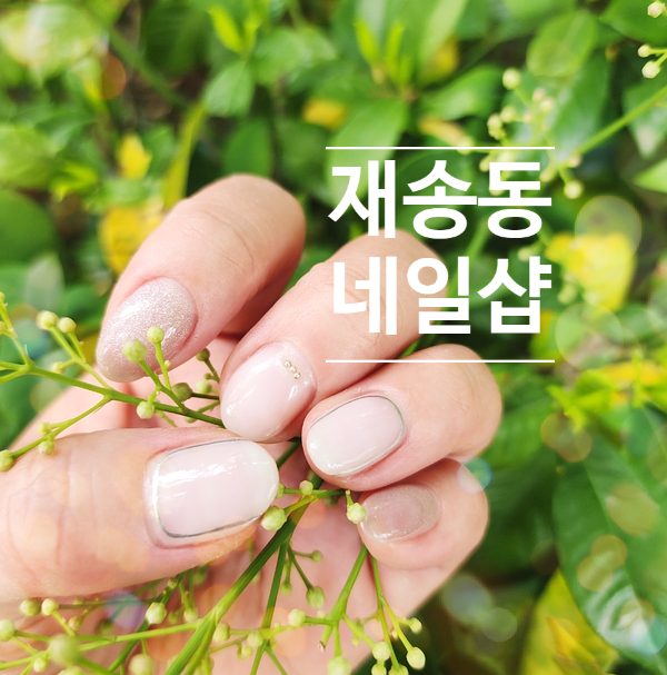블루네일&속눈썹 이미지