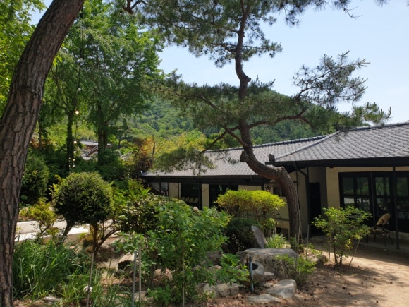 기양초 이미지