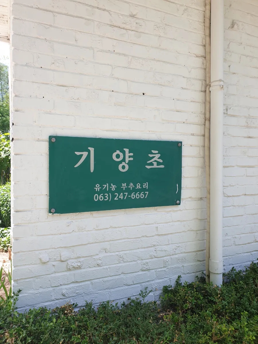 기양초 이미지