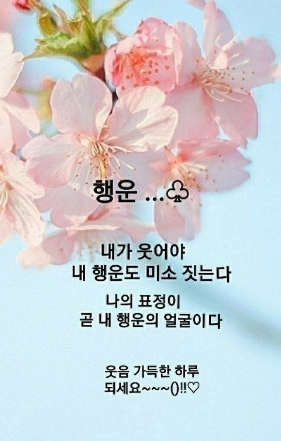 마미토스트&김밥 이미지