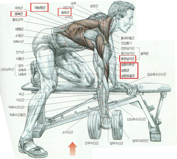 일번피티 이미지