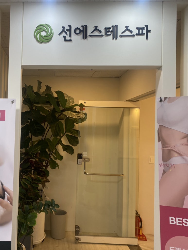 라인에스테 이미지