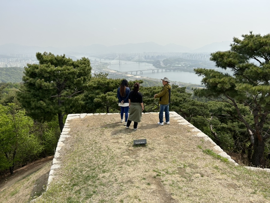 세무회계세흥 이미지
