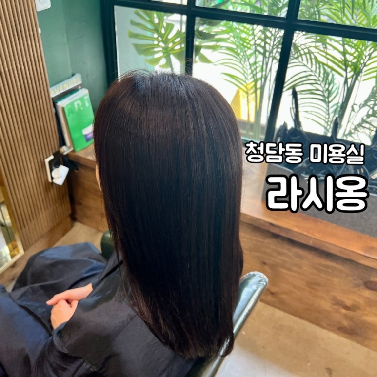 라시옹 이미지