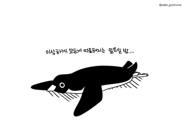 히도커피 이미지
