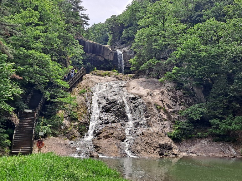 삼성누비 이미지