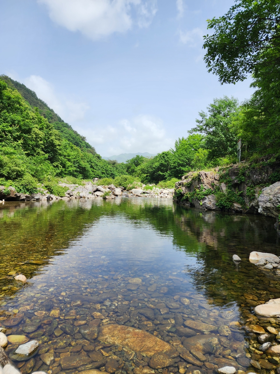 백자동캠핑장 이미지
