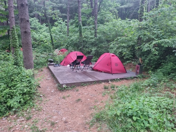 호명산잣나무숲속캠핑장 이미지