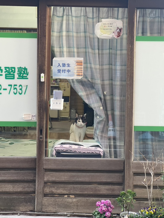 카페아키 이미지