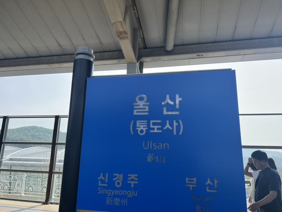 진성민박 이미지