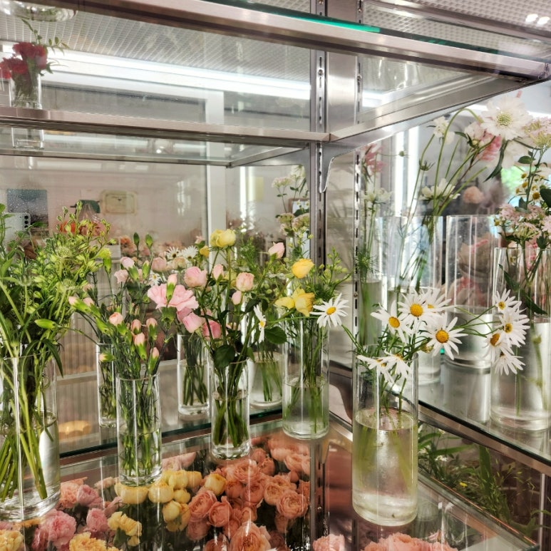 플레로드 이미지