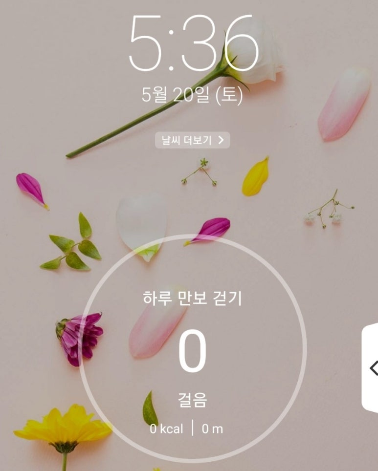 오대양장어구이 이미지