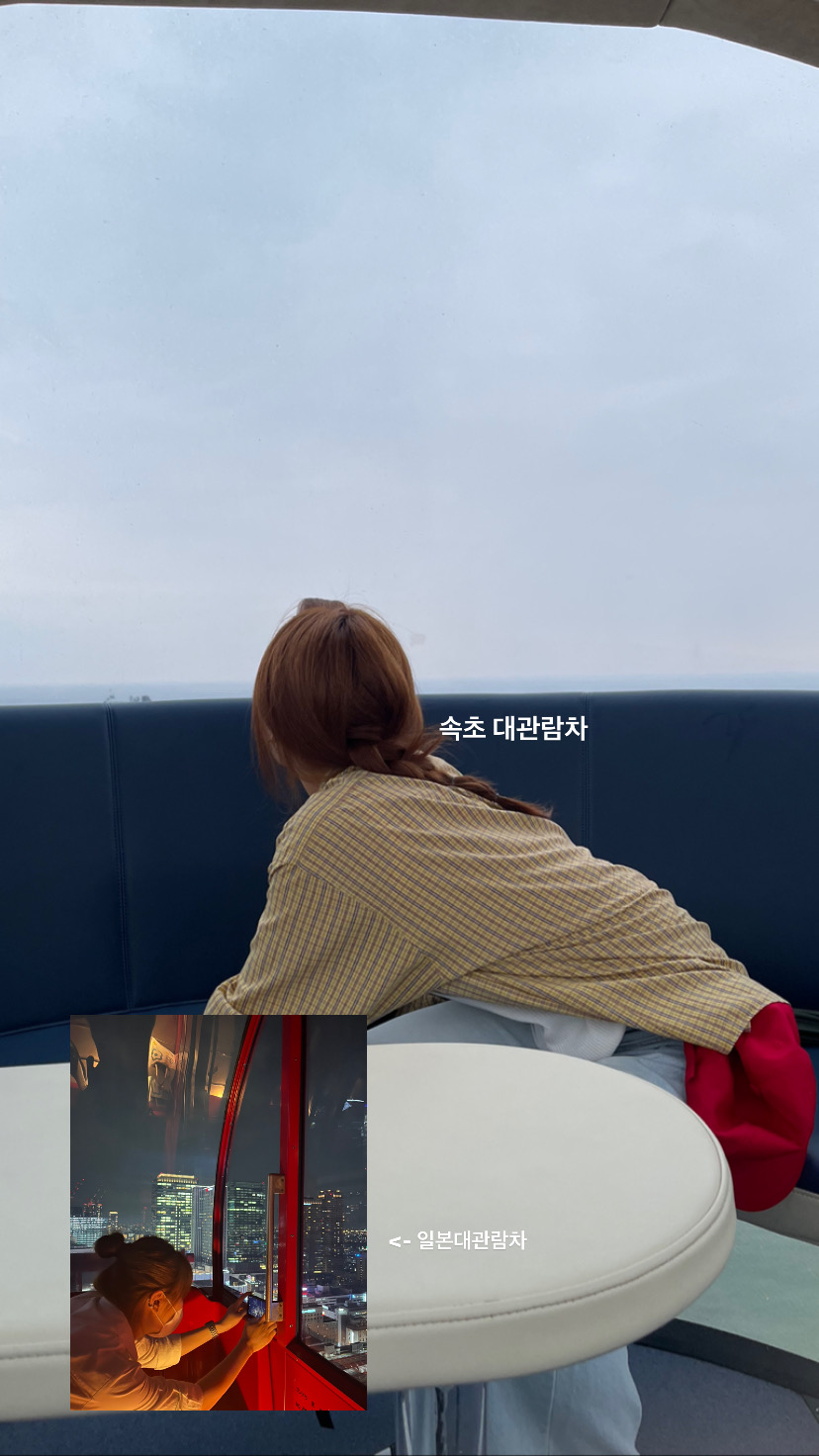 블루수비르 이미지
