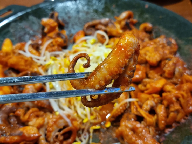 최고집쭈꾸미 이미지