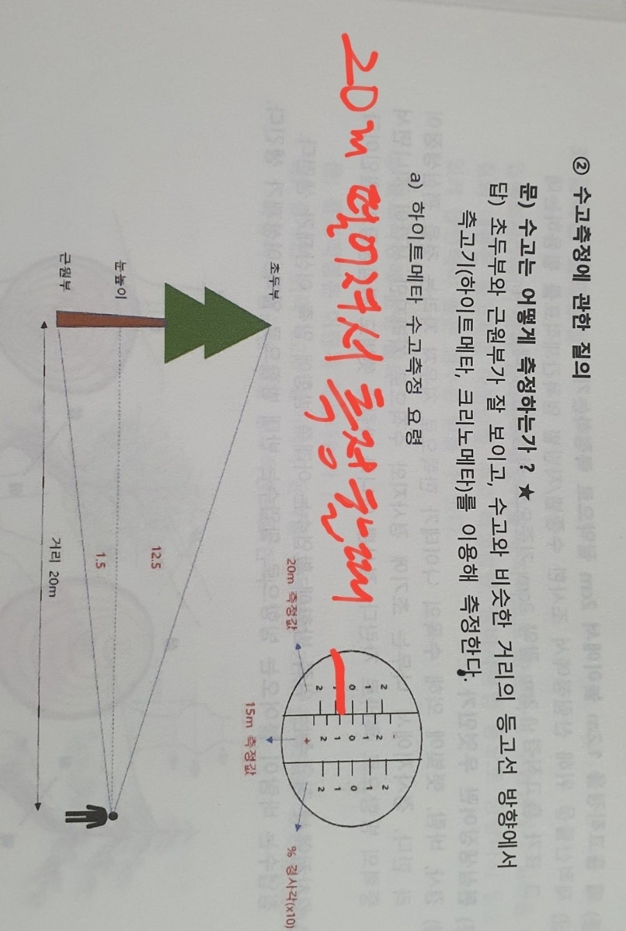 영천나무병원 이미지