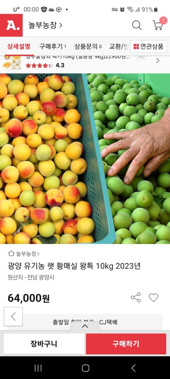 대봉옥션 이미지