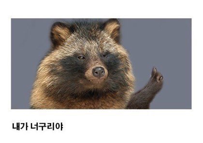 성수 이미지