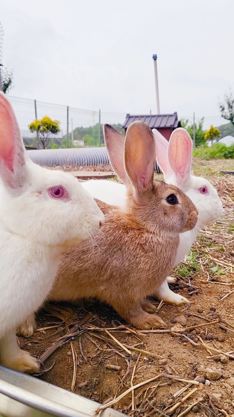 편한텔레콤 이미지