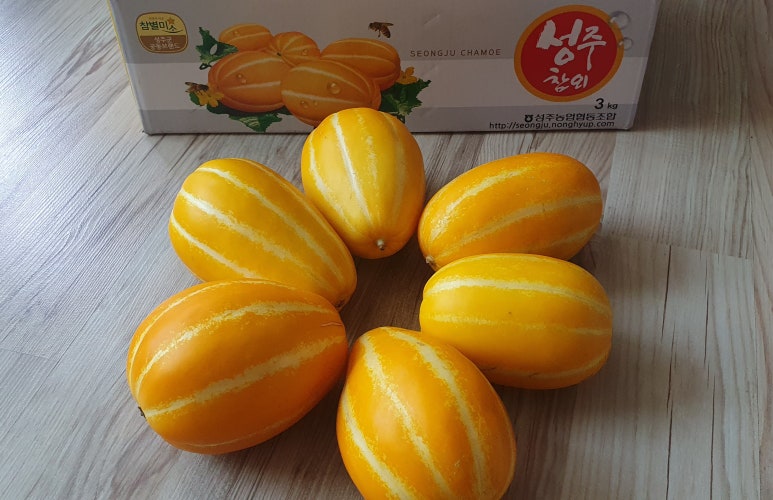 와그베어 이미지