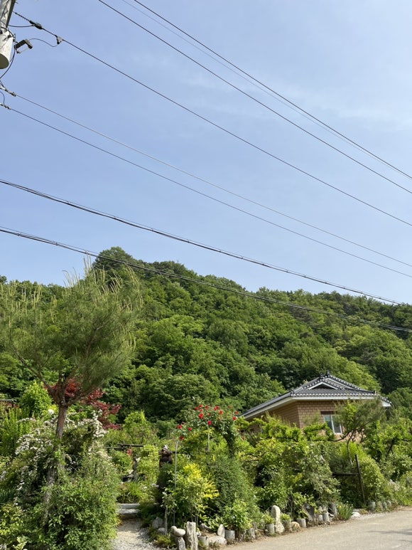 각시터카페 이미지