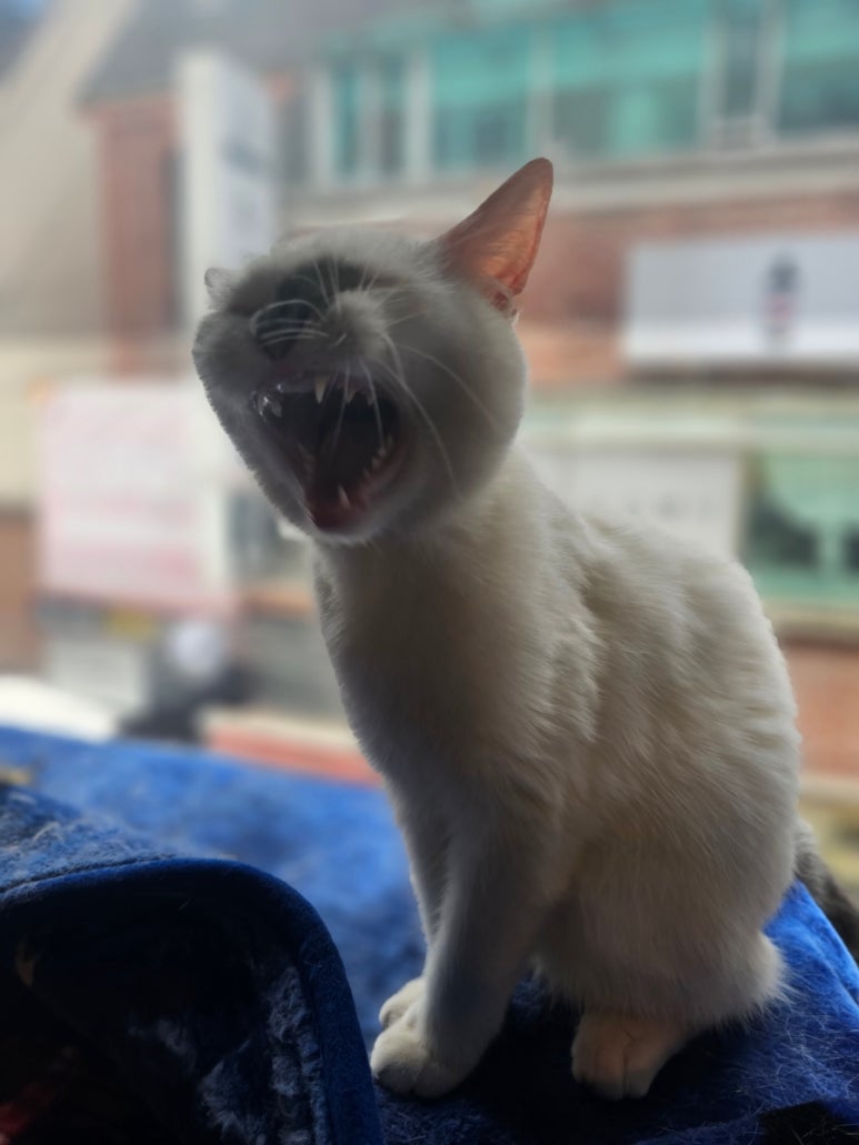 뽑짱 이미지
